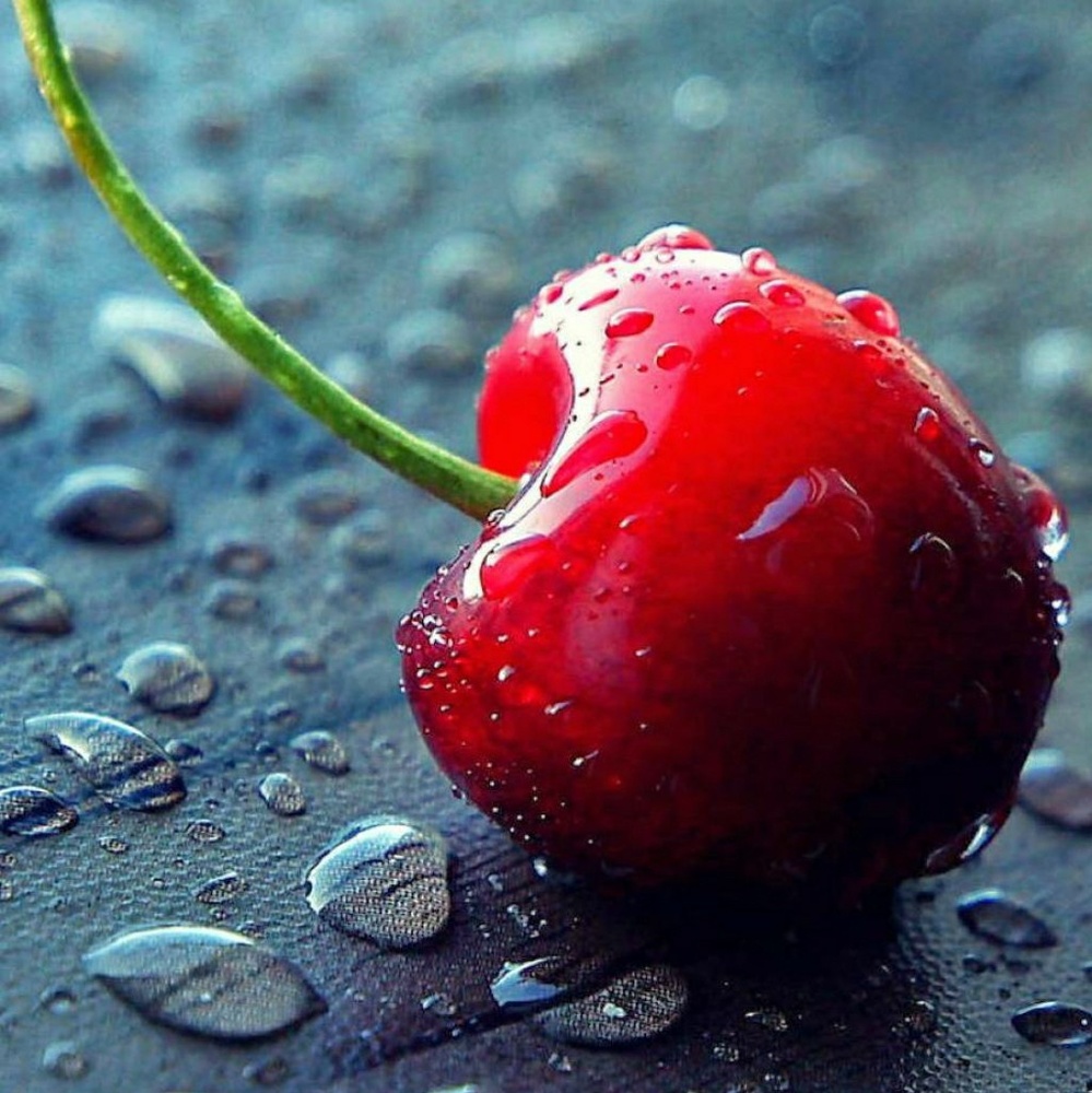 Meet your Posher, Nora